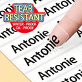 45 900  minimalist transparent name stickers