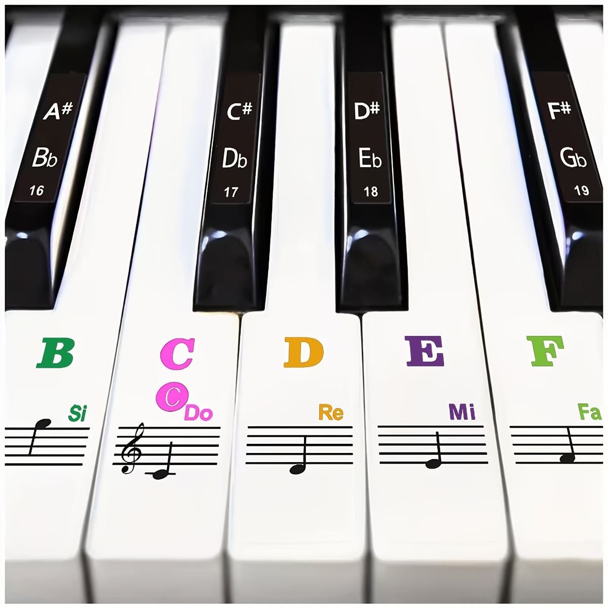 37 49 54 61 88 key piano keyboard stickers removable piano