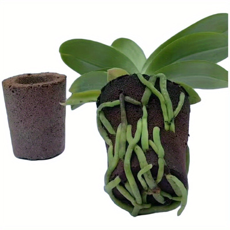 orchid special soil anti rot root breathable plant