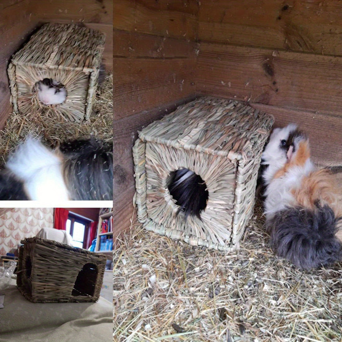 1pc pet folding   rabbit   cat hamster