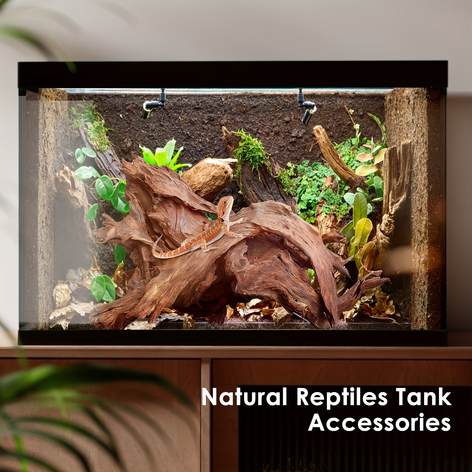2pcs natural driftwood aquarium decor reptile wood branches