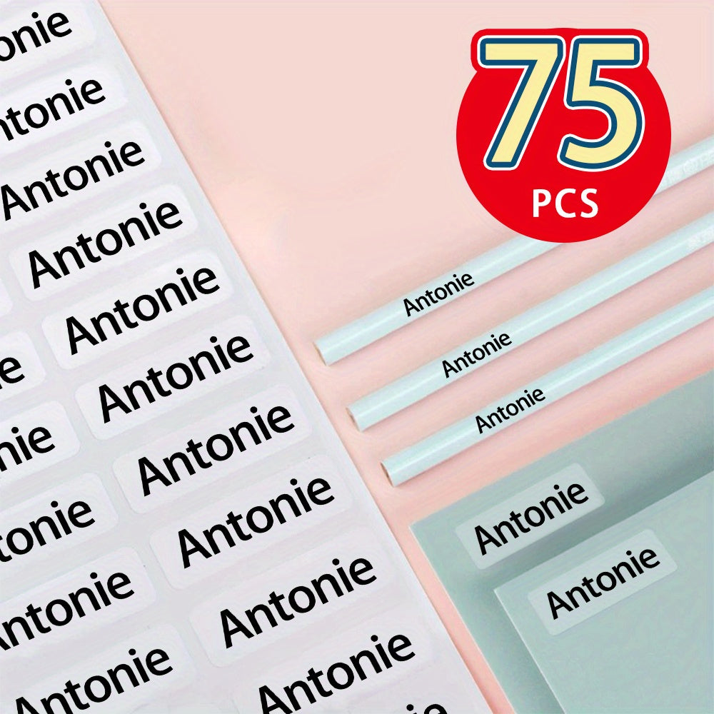 45 900  minimalist transparent name stickers