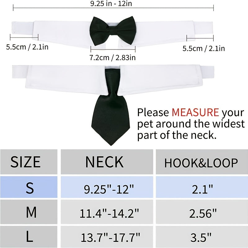 formal necktie bow tie black white