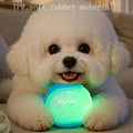glow in dark talking ball dog toy random 2pcs pack