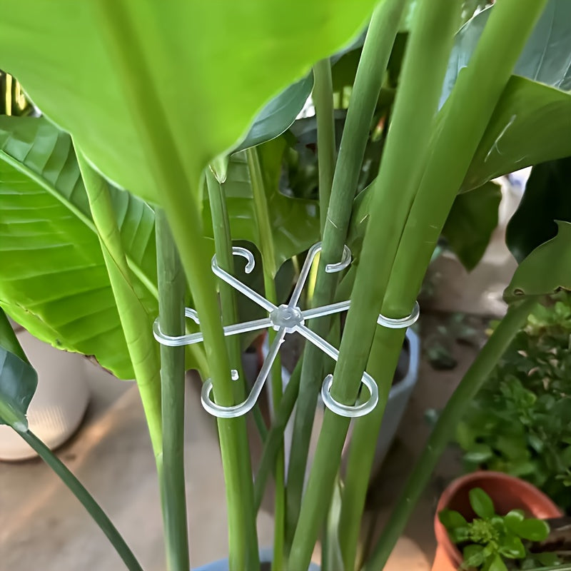 8pcs turtle bamboo holder support anti fall frame spring
