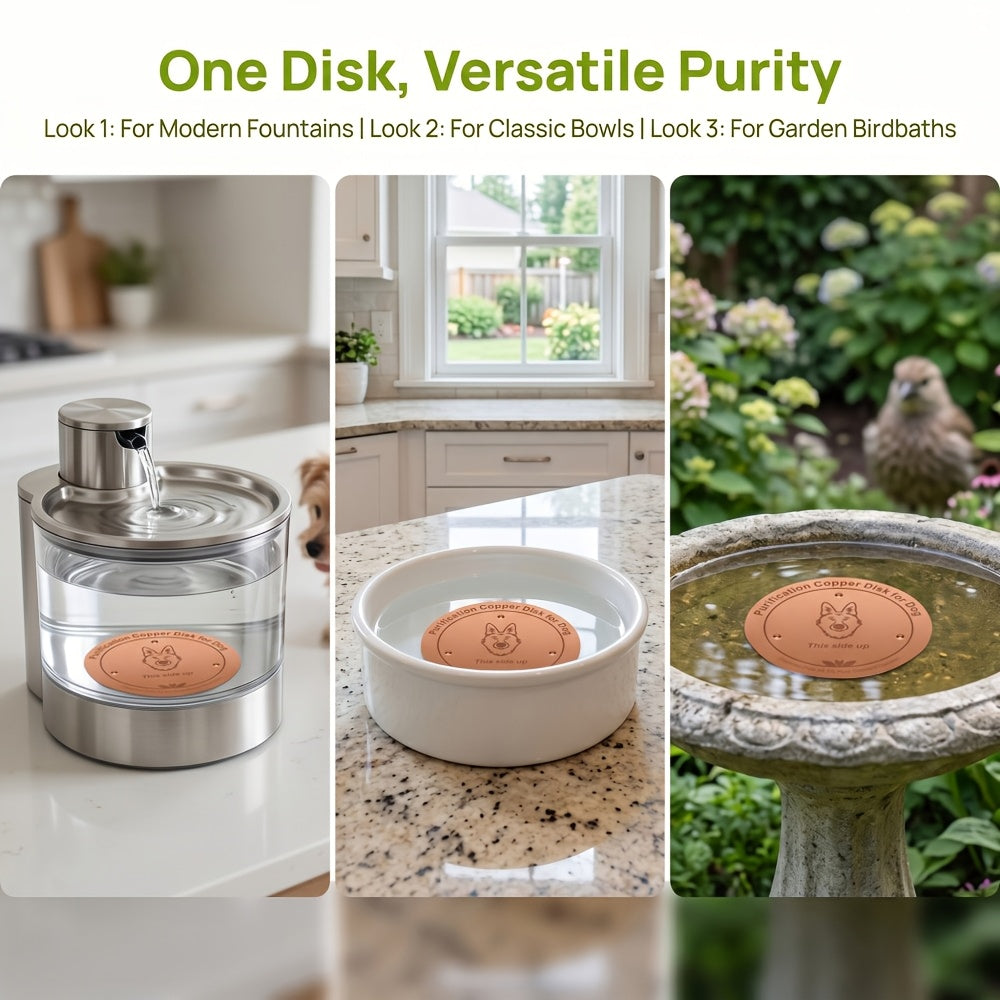 copper pet water filter bowl featuring
