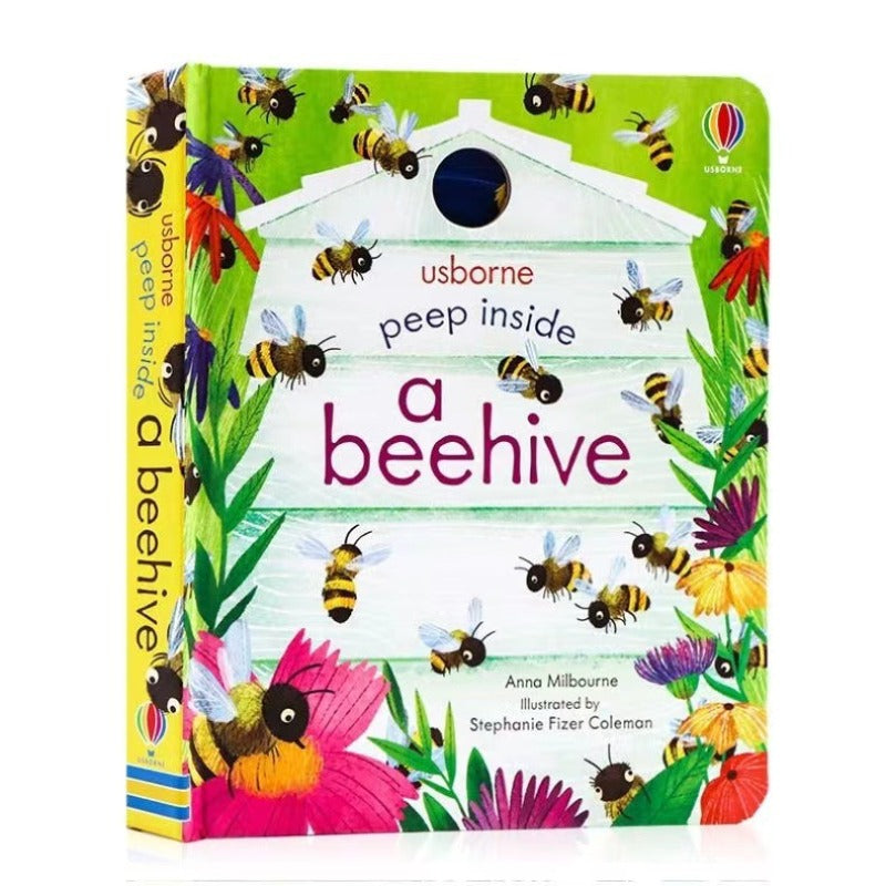 learning materials card vocabulary building